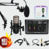 Combo Soundcard Solid State Logic SSL 2 MKII và Micro AKG P420